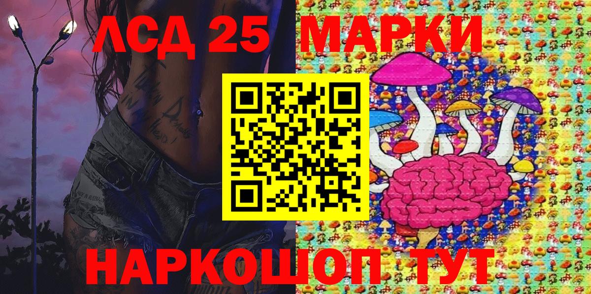 Сокол  Наркотические марки 1,5мг  Наркотические марки 1,5мг  Вход с VPN 